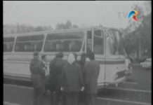 Instantanee de duminică – 1973