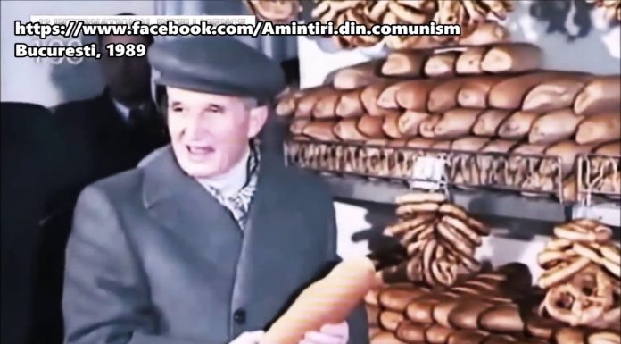 CEAUȘESCU VIZITEAZĂ ALIMENTARELE DIN BUCUREȘTI, 1989