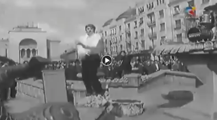 Centrul Timișoarei . Legendară trupă Phoenix cântă la Fântâna cu Pești, anii ’70