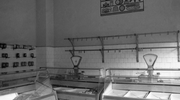 La Fănică Măcelaru’. București1985