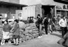 La practica agricola in 1984.