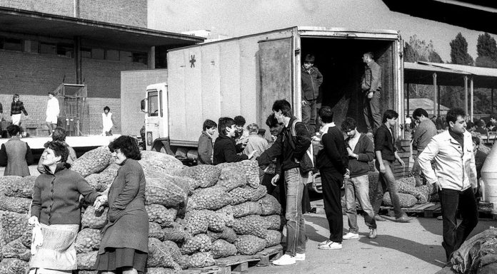 La practica agricola in 1984.