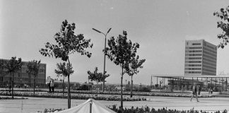 Mamaia in 1968.