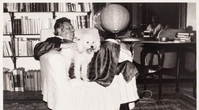 Eugen Barbu, faimos pentru romanul “Groapa”, dar și pentru campaniile pe care le-a orchestrat în revista “Săptămâna” împotriva generației de scriitori a anilor ’80