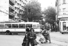 La Cireșica