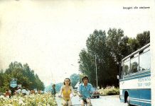 Neptun în 1982