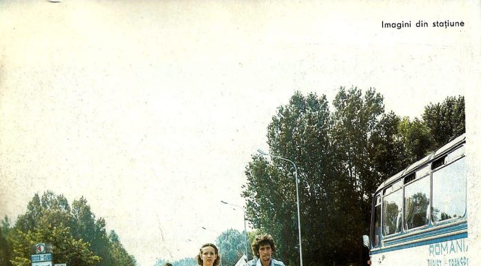 Neptun în 1982
