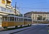 Timișoara – 1977