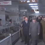 Vizite de lucru ale lui Nicolae Ceaușescu 1989