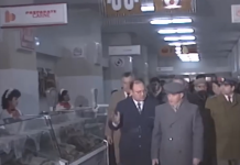 Vizite de lucru ale lui Nicolae Ceaușescu 1989