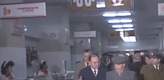 Vizite de lucru ale lui Nicolae Ceaușescu 1989