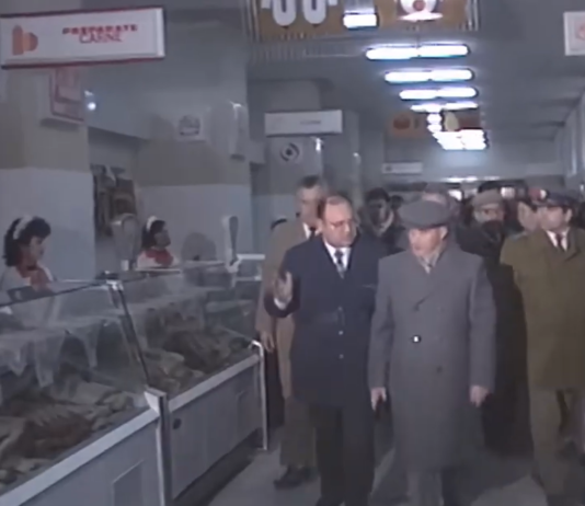 Vizite de lucru ale lui Nicolae Ceaușescu 1989