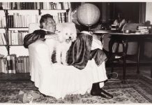 Din Jurnalul lui Eugen Barbu. 1971