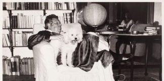 Din Jurnalul lui Eugen Barbu. 1971