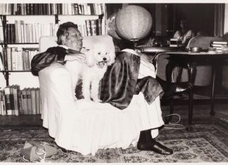 Din Jurnalul lui Eugen Barbu. 1971