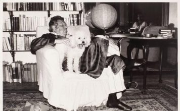 Din Jurnalul lui Eugen Barbu. 1971
