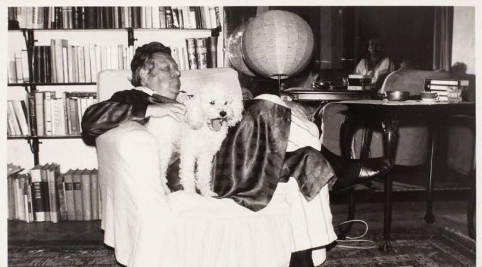 Din Jurnalul lui Eugen Barbu. 1971