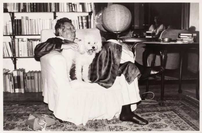 Din Jurnalul lui Eugen Barbu. 1971
